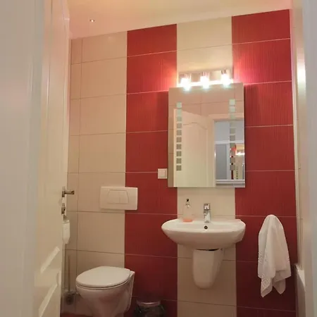 公寓 Ada Homes A2 布拉索夫