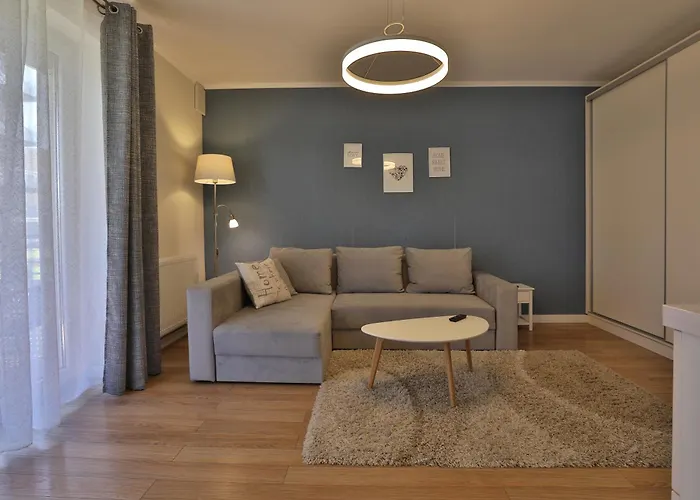 公寓 Ada Homes A2 布拉索夫